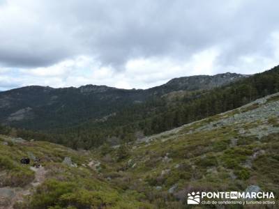 Nacimiento del río Manzanares desde La Barranca; senderismo por burgos